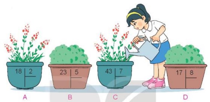 Bài 1 Toán lớp 3 trang 74 sách Kết nối tri thức