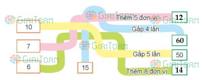 Hoạt động 2 Toán lớp 3 trang 70 sách Kết nối tri thức