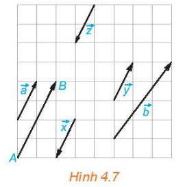 Hoạt động 3 trang 48 Toán 10 tập 1 SGK Kết nối tri thức với cuộc sống