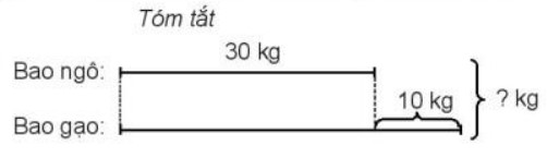 Bài 3 Toán lớp 3 trang 82 sách Kết nối tri thức