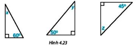 Bài 4.7 trang 69 Toán 7 tập 1 SGK Kết nối tri thức với cuộc sống