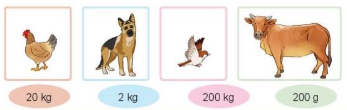 Bài 2 Toán lớp 3 trang 88 sách Kết nối tri thức