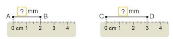 Hoạt động 1 Toán lớp 3 trang 85 sách Kết nối tri thức