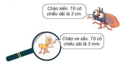 Hoạt động 3 Toán lớp 3 trang 86 sách Kết nối tri thức