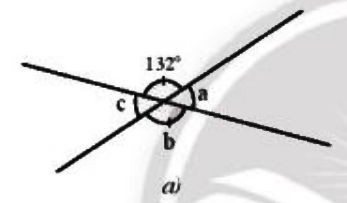 Bài 4 trang 72 Toán 7 tập 1 SGK Chân trời sáng tạo
