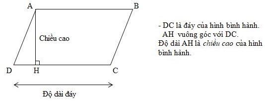 Hình bình hành - Diện tích hình bình hành