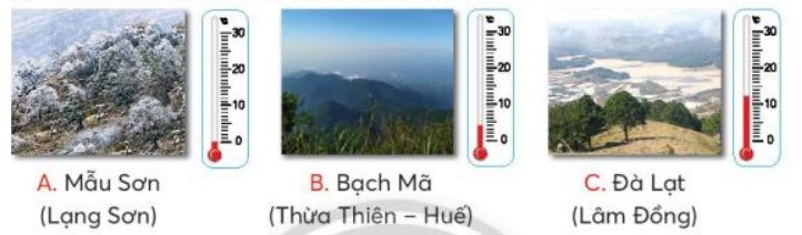 Bài 5 Toán lớp 3 trang 83 sách Chân trời sáng tạo