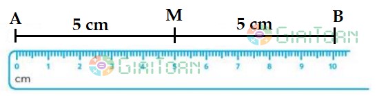 Thực hành 2 Toán lớp 3 trang 77 sách Chân trời sáng tạo