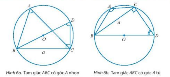 Hoạt động 2 trang 67 Toán 10 tập 1 SGK Chân trời sáng tạo