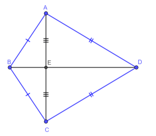 Luyện tập Hai tam giác bằng nhau. Trường hợp bằng nhau thứ nhất của tam giác 