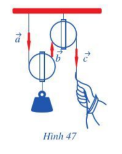 Bài 5 trang 82 Toán 10 Tập 1
