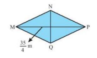 Tính diện tích hình thang ABCD có các kích thước như hình sau
