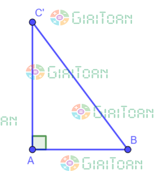 Hoạt động 5 trang 78 Toán 7 tập 1 SGK Kết nối tri thức với cuộc sống