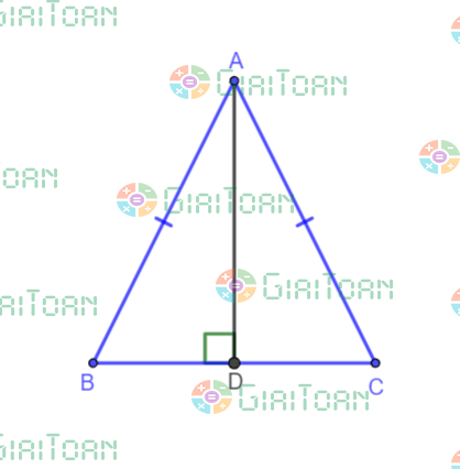 Bài 4.28 trang 84 Toán 7 tập 1 SGK Kết nối tri thức với cuộc sống