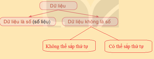 Thu thập và phân loại dữ liệu