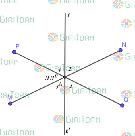 Bài 3 trang 75 Toán 7 tập 1 SGK Chân trời sáng tạo