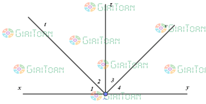 Bài 7 trang 75 Toán 7 tập 1 SGK Chân trời sáng tạo