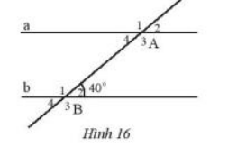 Bài 4 trang 80 Toán 7 tập 1 SGK Chân trời sáng tạo