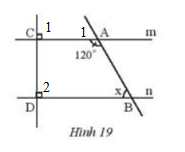 Bài 7 trang 81 Toán 7 tập 1 SGK Chân trời sáng tạo