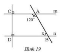 Bài 7 trang 81 Toán 7 tập 1 SGK Chân trời sáng tạo