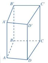 Hình lăng trụ đứng tứ giác