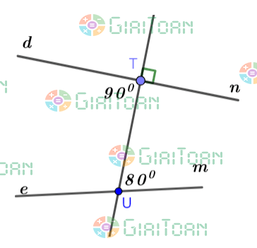 Thực hành 1 trang 77 Toán 7 tập 1 SGK Chân trời sáng tạo