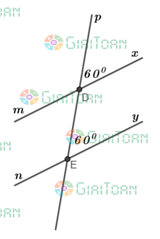 Thực hành 1 trang 77 Toán 7 tập 1 SGK Chân trời sáng tạo