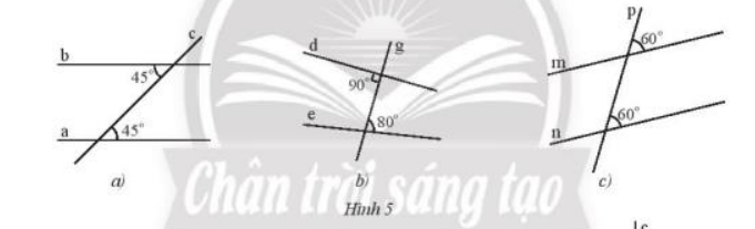 Thực hành 1 trang 77 Toán 7 tập 1 SGK Chân trời sáng tạo