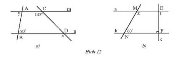 Thực hành 4 trang 79 Toán 7 tập 1 SGK Chân trời sáng tạo