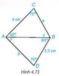 Bài 4.29 trang 86 Toán 7 tập 1 SGK Kết nối tri thức với cuộc sống