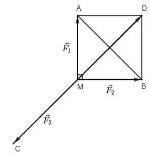 Bài 5 trang 93 Toán 10 tập 1 SGK Chân trời sáng tạo