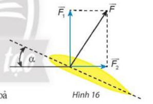Bài 6 trang 93 Toán 10 tập 1 SGK Chân trời sáng tạo
