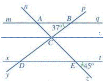 Bài 5 trang 108 Toán 7 tập 1 SGK Cánh Diều