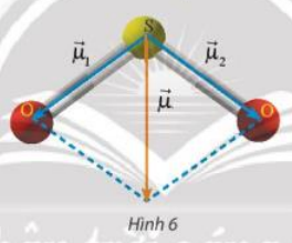 Vận dụng 2 trang 101 Toán 10 tập 1 SGK Chân trời sáng tạo