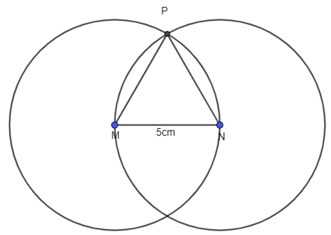 Sách bài tập Toán lớp 6 Bài 1: Tam giác đều. Hình vuông. Lục giác đều | Cánh diều Giải SBT Toán 6