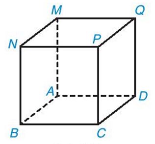 Toán 7 Bài 36: Hình hộp chữ nhật và hình lập phương