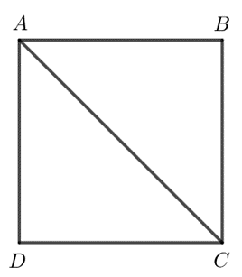 Thử thách trang 64 Toán 7 tập 2 SGK Kết nối tri thức với cuộc sống